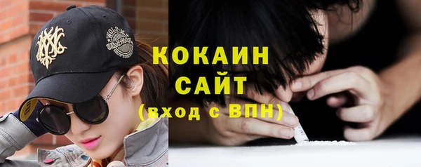 сатива Кинешма