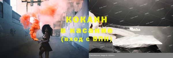сатива Кинешма