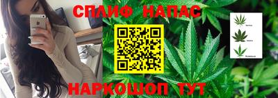 ALPHA-PVP Гай