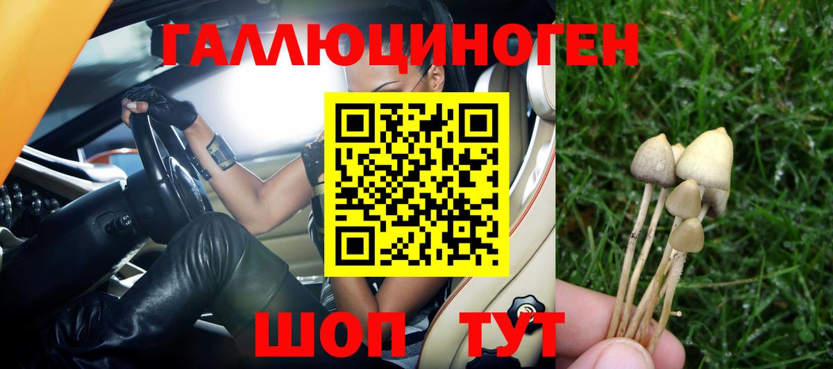 купить наркоту  Иваново  Псилоцибиновые грибы GOLDEN TEACHER  Галлюциногенные грибы Psilocybine cubensis 