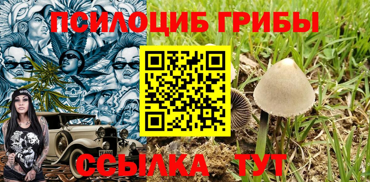 Псилоцибиновые грибы Psilocybine cubensis  Вход с VPN  Иваново  даркнет сайт  Псилоцибиновые грибы GOLDEN TEACHER 